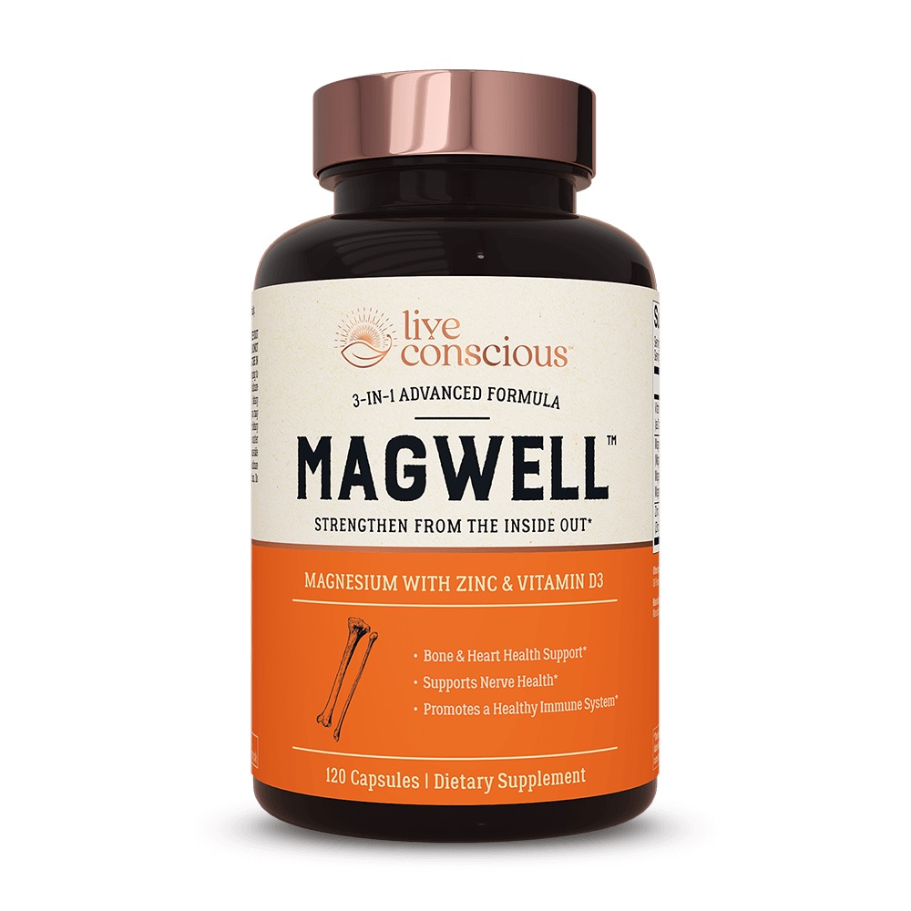 LiveWell MagWell Review