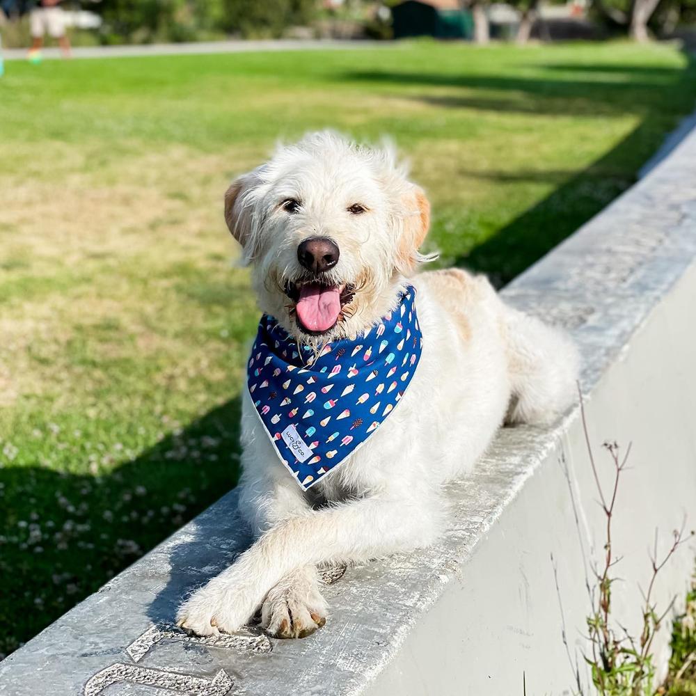 Lucy & Co. Ophie Bandana Review