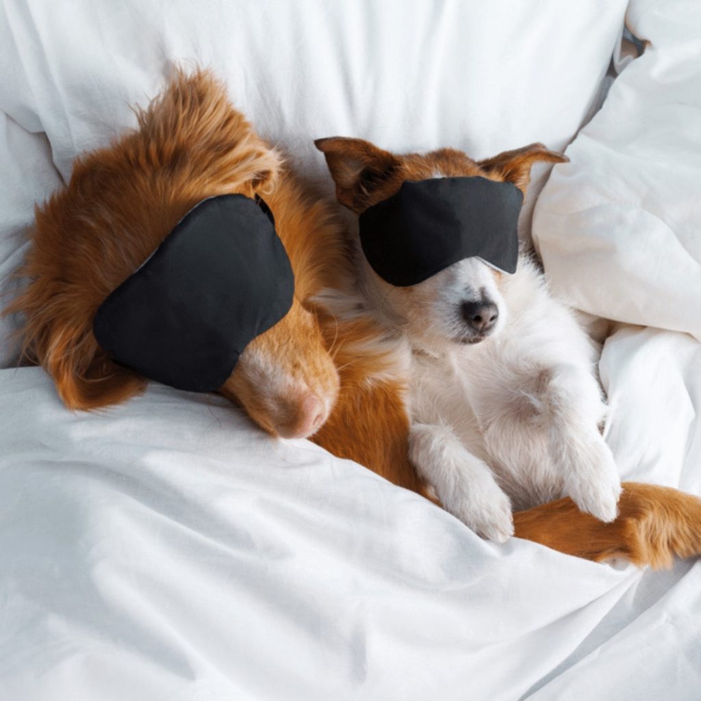 Pacific Coast Review