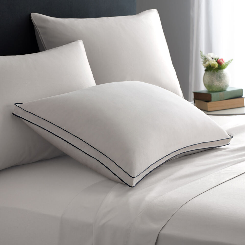 Pacific Coast Double DownAround Organic Cotton Cover Pillow Review