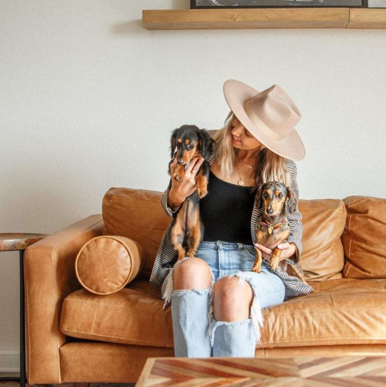 Poly and Bark Review Must Read This Before Buying