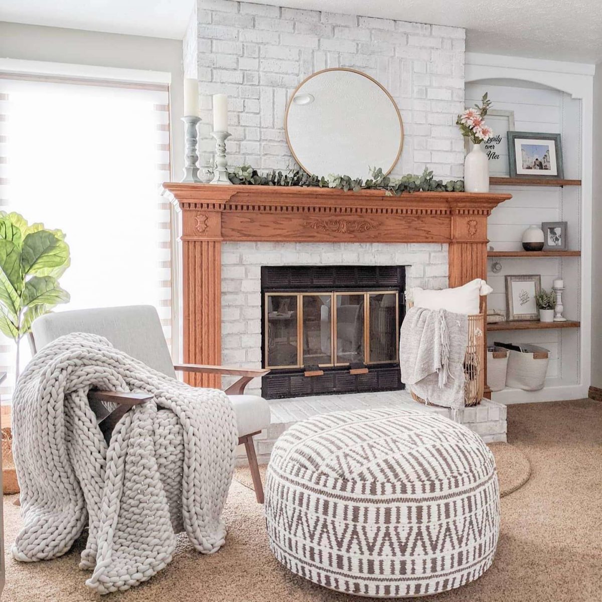 Poly and Bark Review Must Read This Before Buying