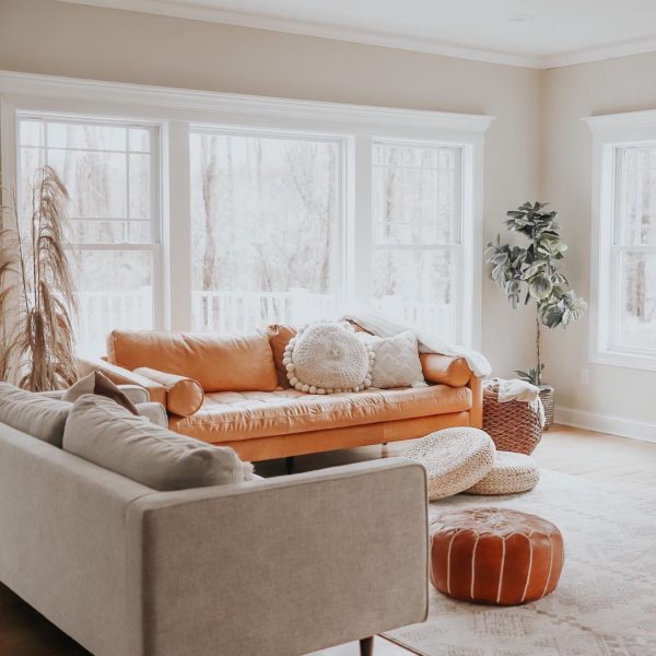 Poly and Bark Review Must Read This Before Buying