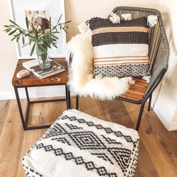 Poly and Bark Review Must Read This Before Buying