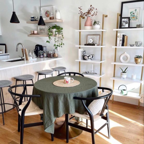 Poly and Bark Review Must Read This Before Buying