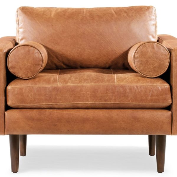 Poly and Bark Review Must Read This Before Buying