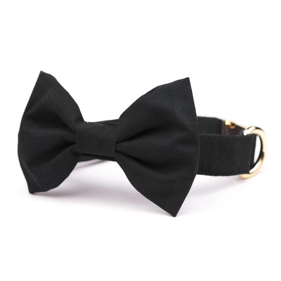 The Foggy Dog Onyx Bow Tie Collar Review 