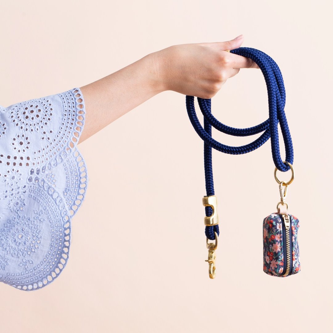 The Foggy Dog Review Must Read This Before Buying