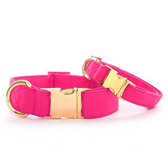 The Foggy Dog Hot Pink Dog Collar Review 