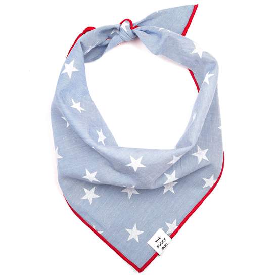 The Foggy Dog Liberty Dog Bandana Review