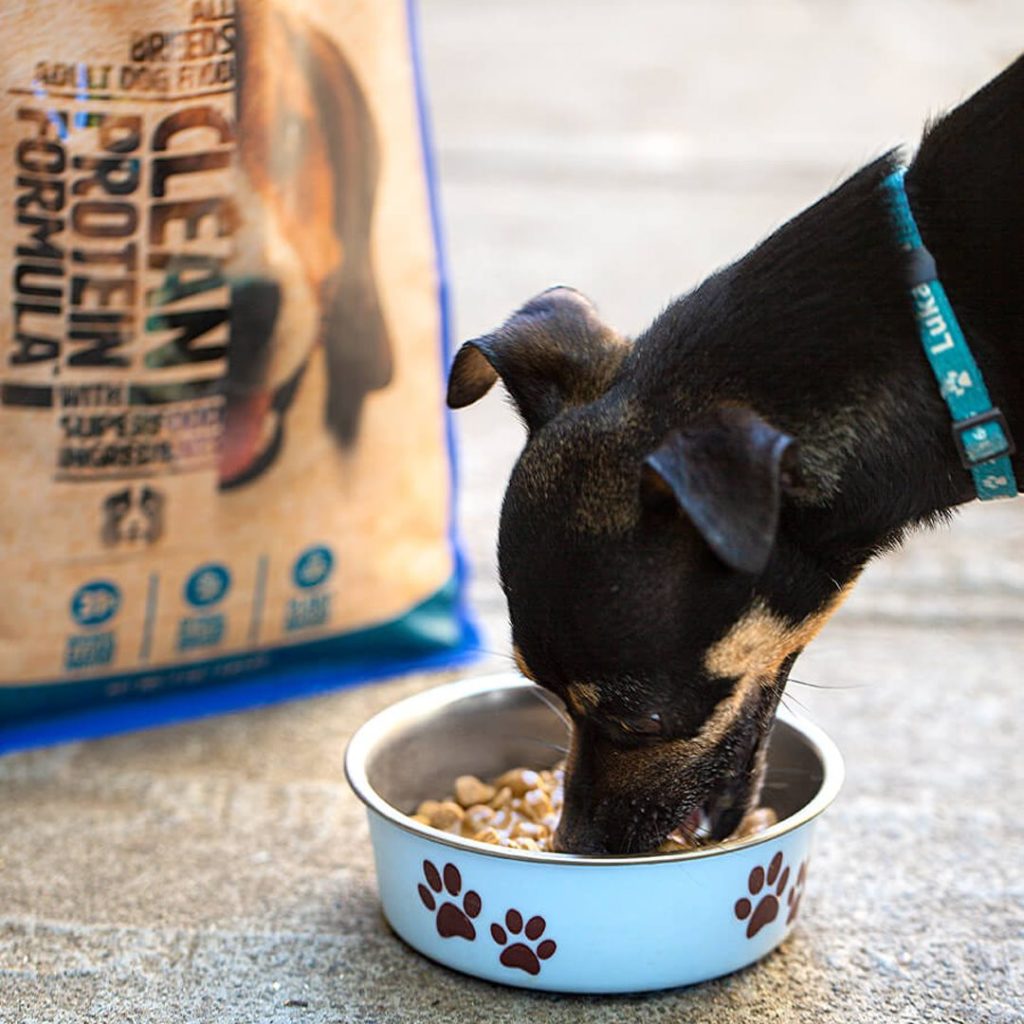 Wild Earth Dog Food Review