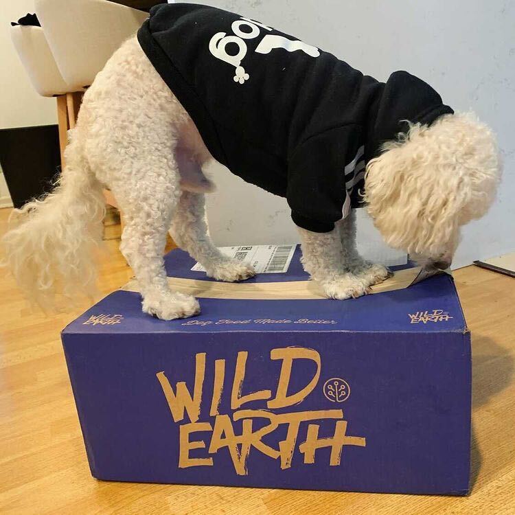 Wild Earth Dog Food Review