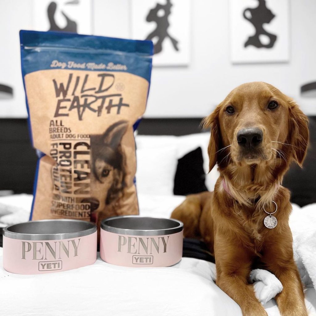 Wild Earth Dog Food Review