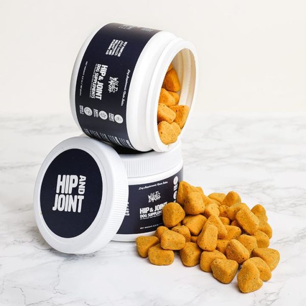 Wild Earth Dog Food Review Must Read This Before Buying