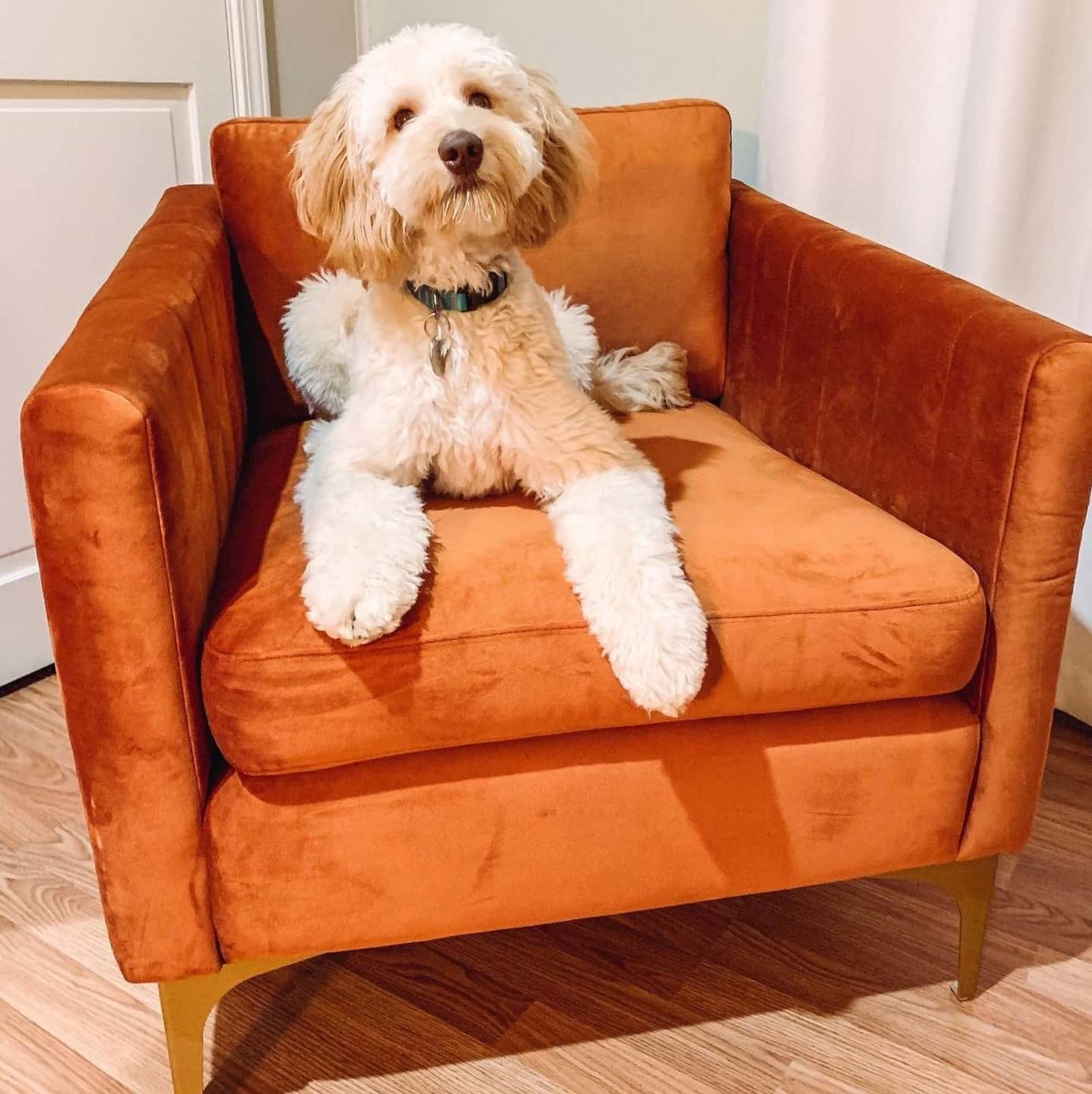 All Modern Furniture Review Must Read This Before Buying