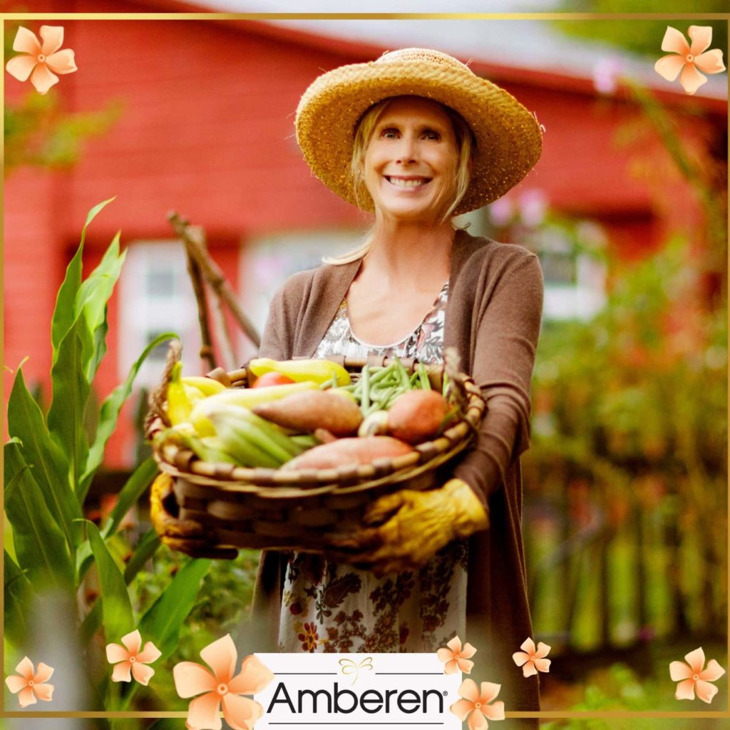 Amberen Perimenopause Review