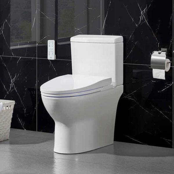 Bidet King Review Must Read This Before Buying
