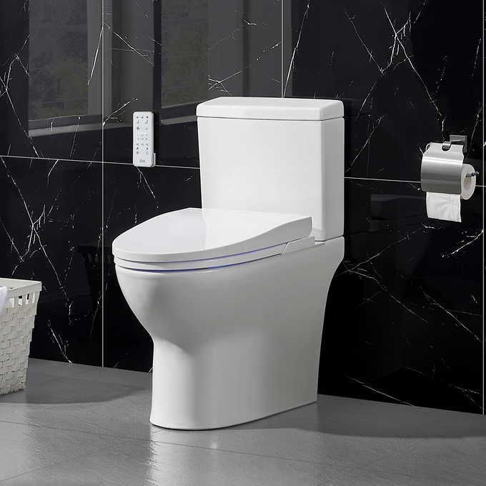 Bidet King Review 17 Bidet King Review