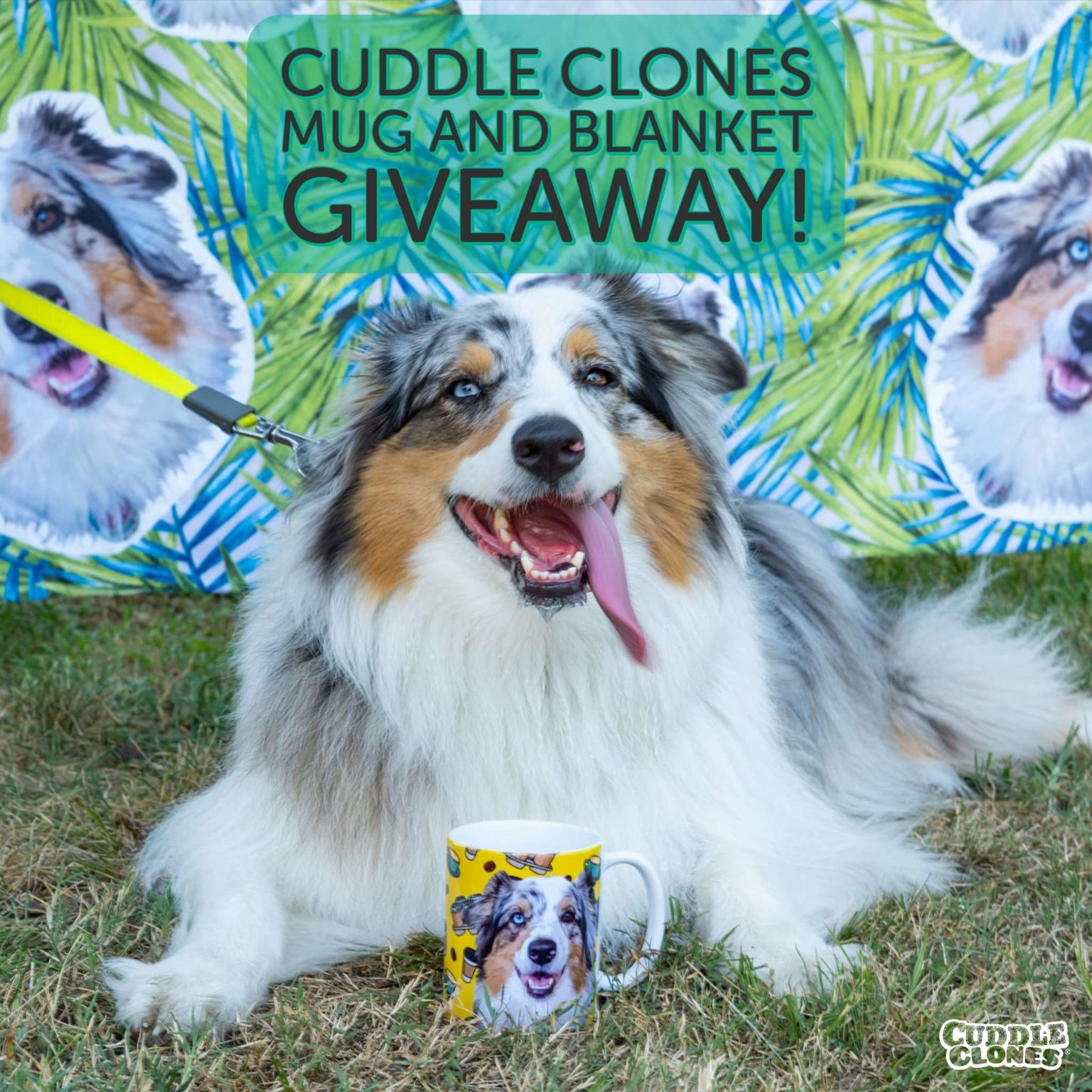 Cuddle Clones Review Must Read This Before Buying