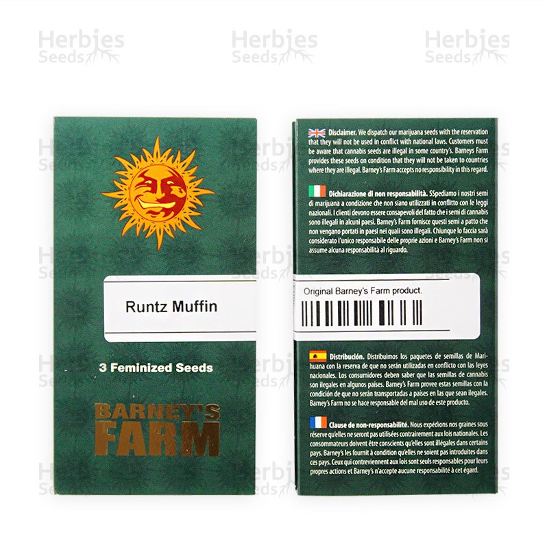 Herbies Seeds Runtz Muffin Barney’s Farm Review