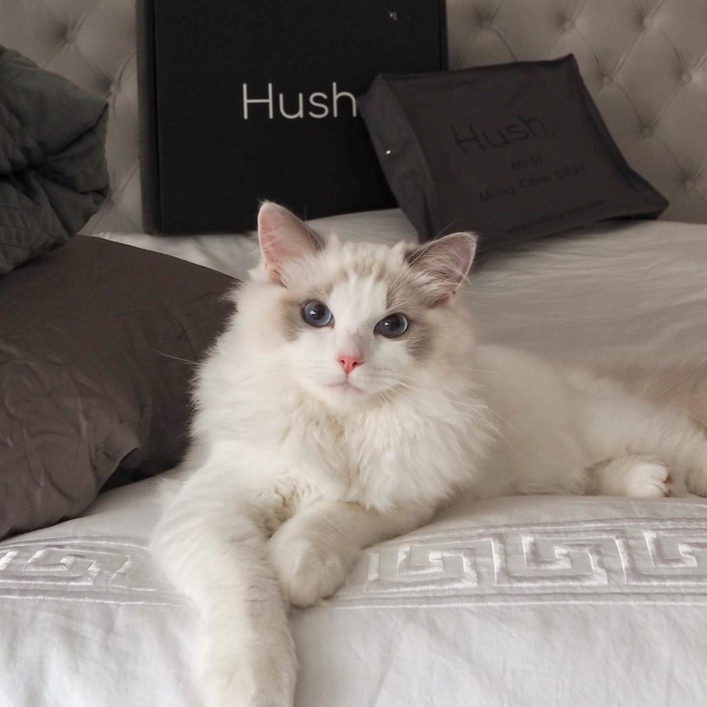 Hush Blankets Review