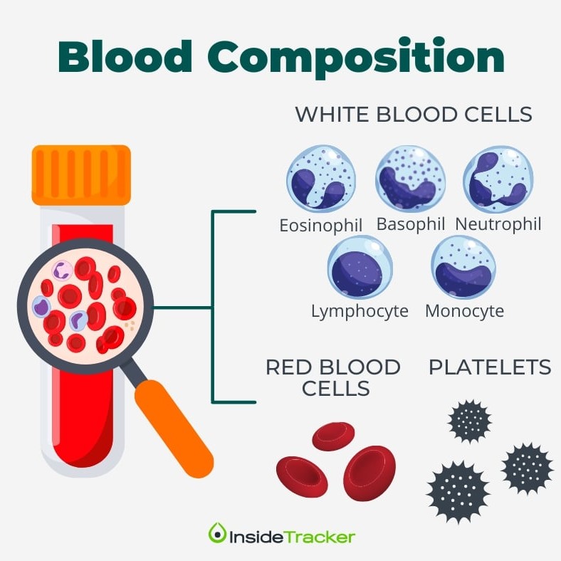 InsideTracker Review