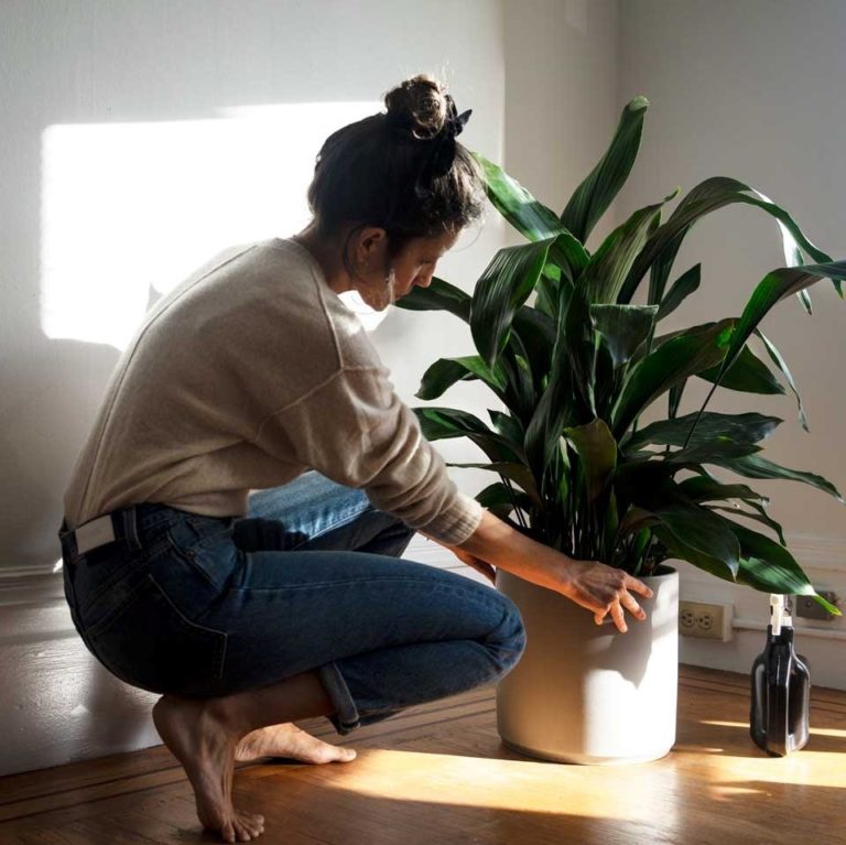 Léon and Review Must Read This Before Buying