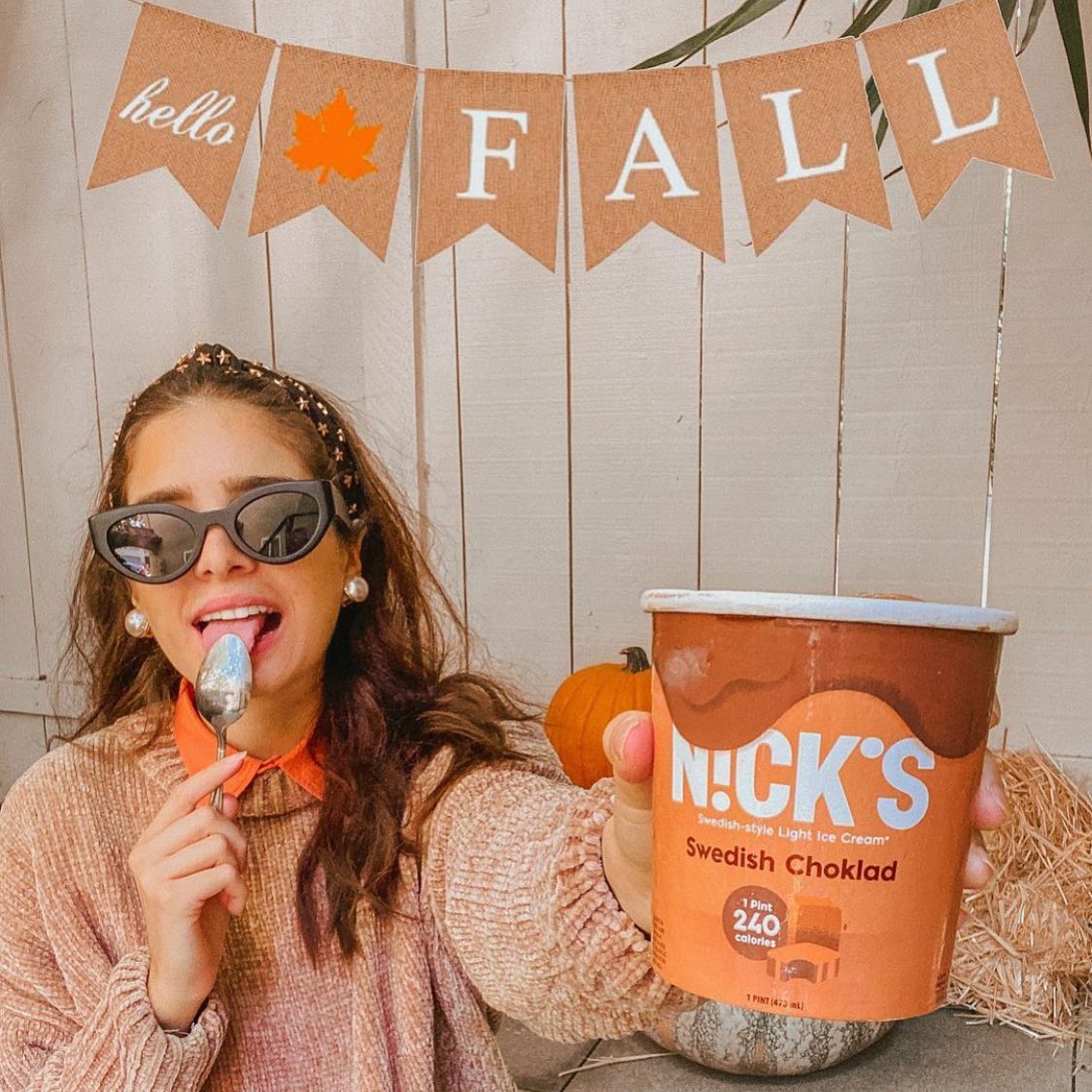 Nicks Ice Cream Review Must Read This Before Buying