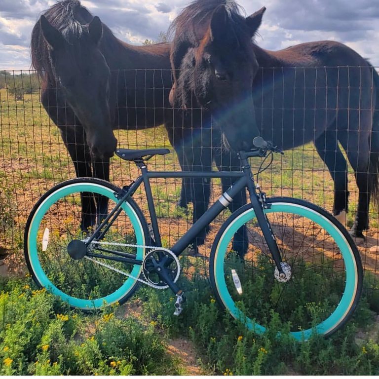 Sole Bicycles Review Must Read This Before Buying