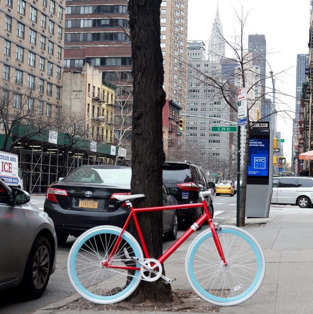 Sole Bicycles Review Must Read This Before Buying