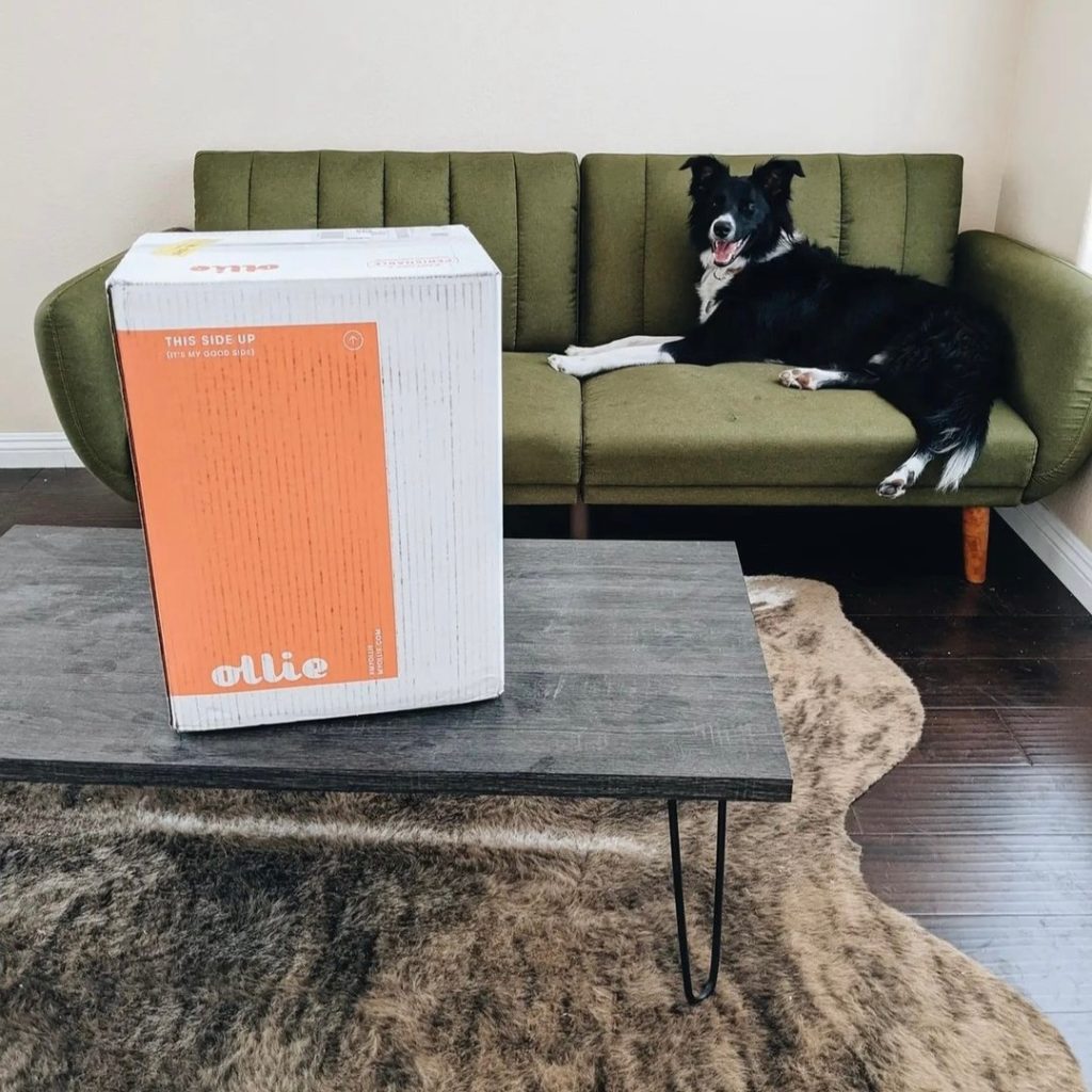 10 Best Pet Food Subscription Brands