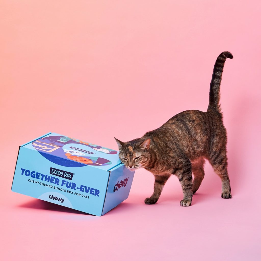 10 Best Pet Food Subscription Brands
