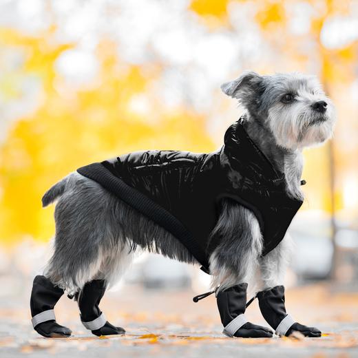 Canada Pooch Soft Shield Boots Review