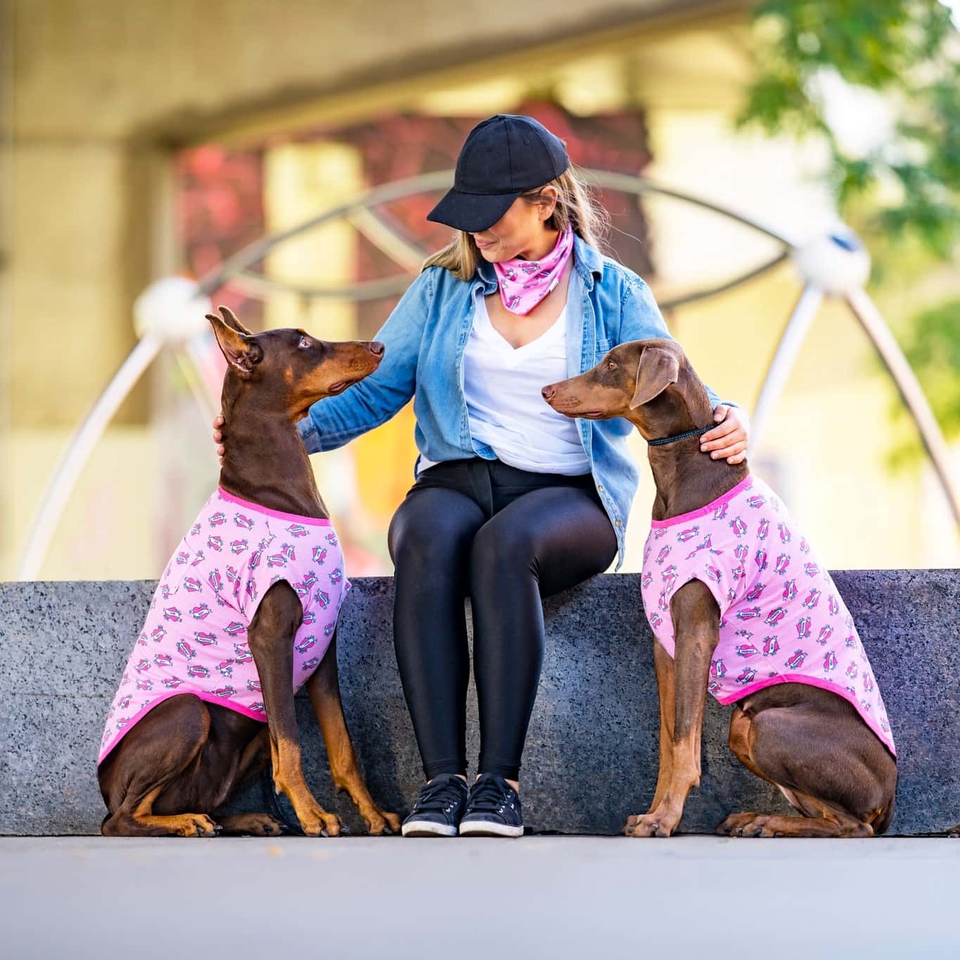 Canada Pooch Review Must Read This Before Buying