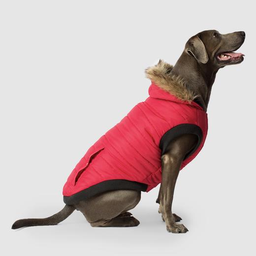 Canada Pooch North Pole Parka Review