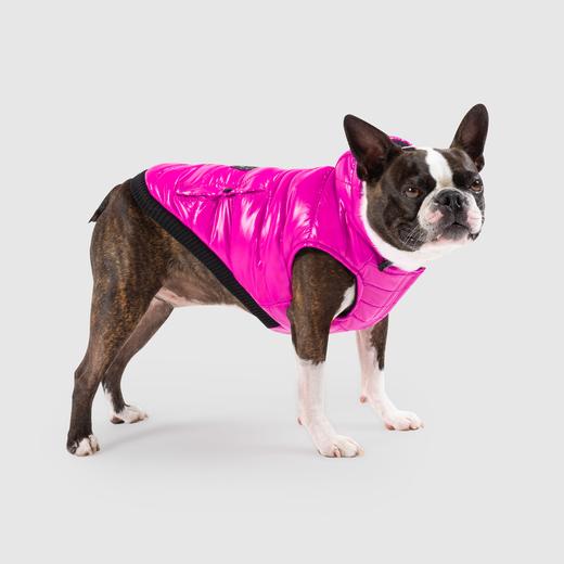 Canada Pooch Shiny Puffer Vest Review
