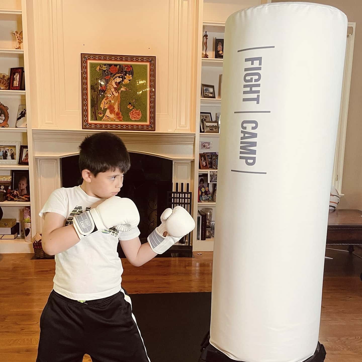 Fight Camp Review Must Read This Before Buying