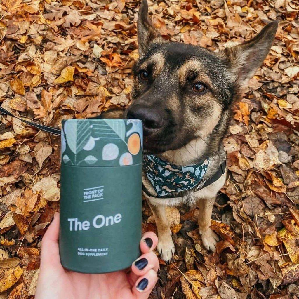 Front of the Pack Review Must Read This Before Buying