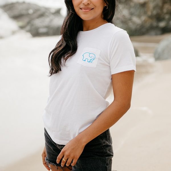 Ivory Ella Review Must Read This Before Buying