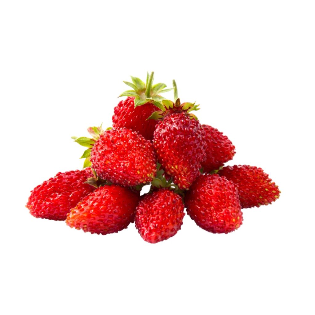 Lettuce Grow Alpine Berries Review