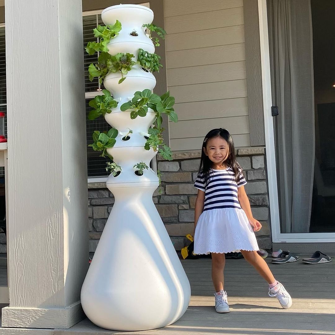 Lettuce Grow Review Must Read This Before Buying