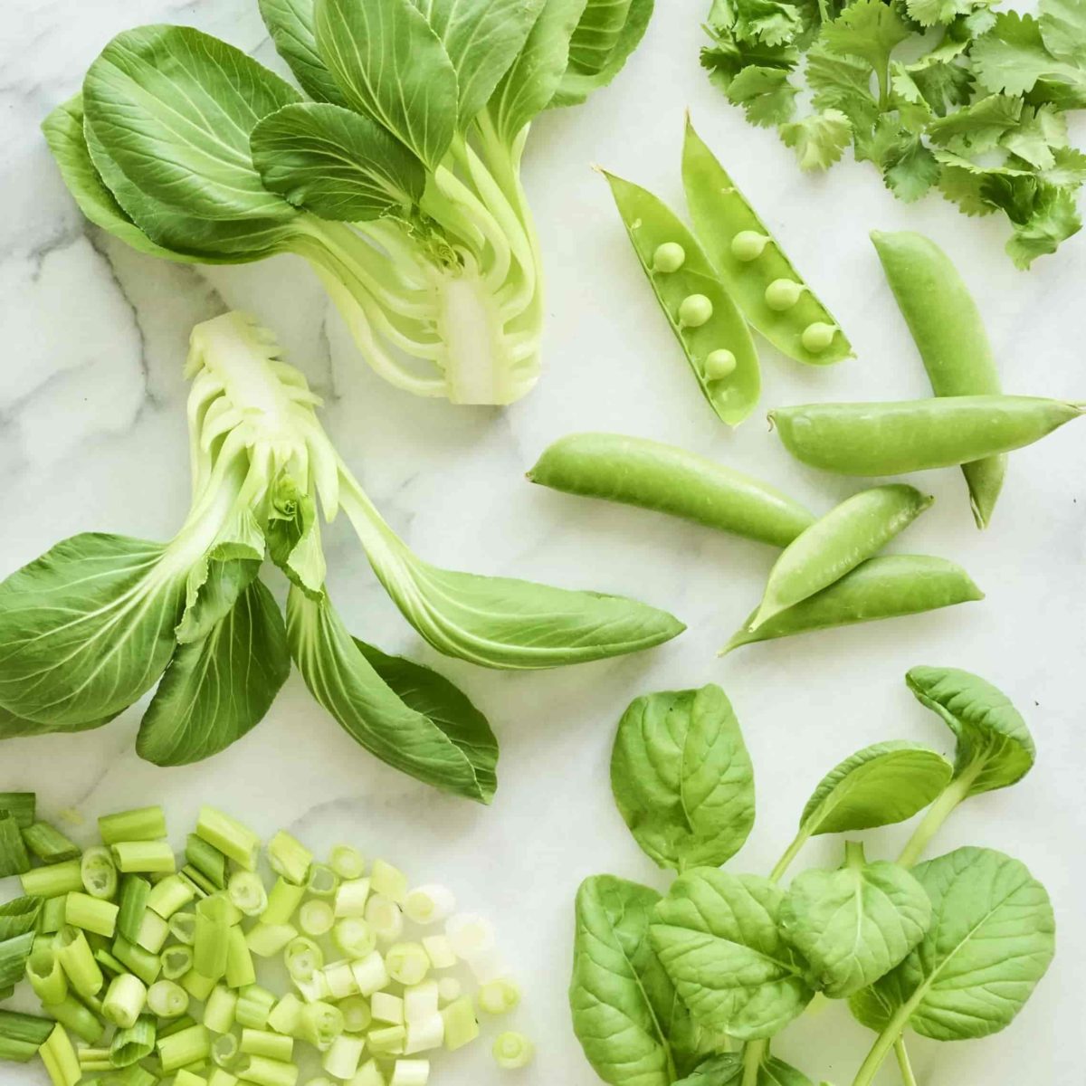 Lettuce Grow Review Must Read This Before Buying