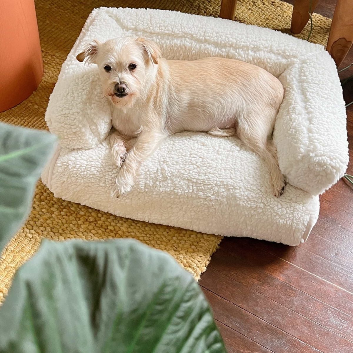 Pottery Barn Review Must Read This Before Buying