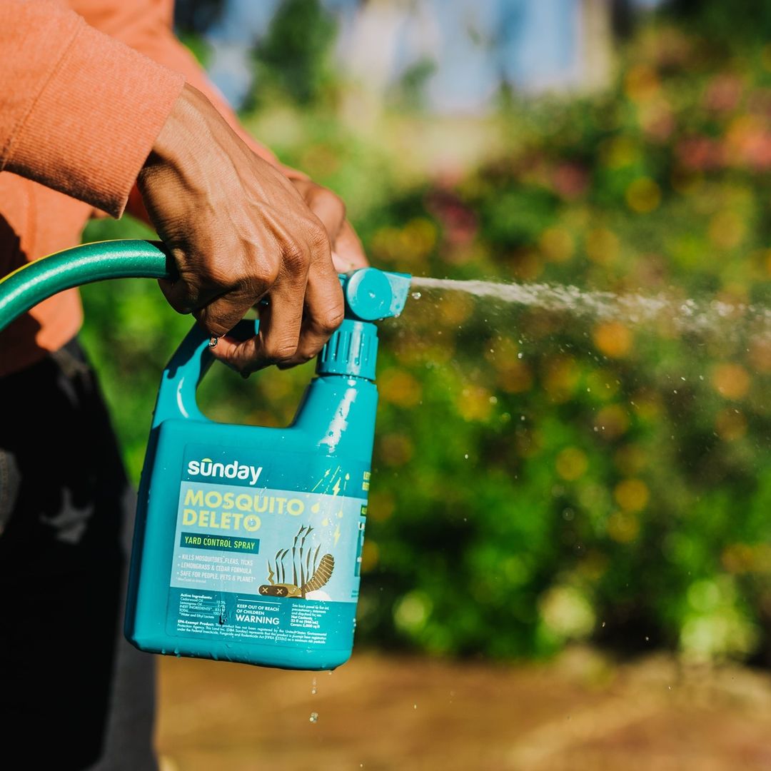 Sunday Lawn Care Review Must Read This Before Buying