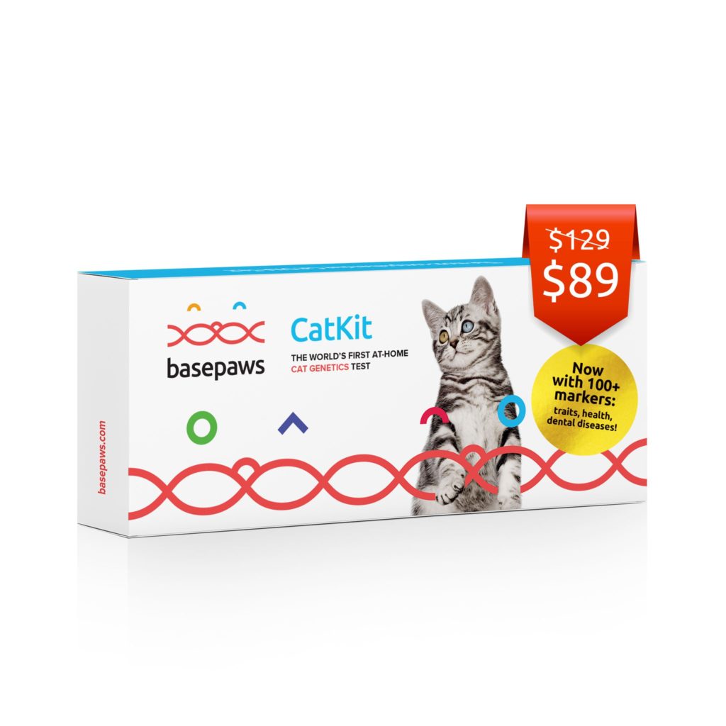 BasePaws Basepaws Breed + Health DNA Test Review