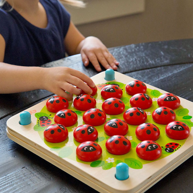 Fat Brain Toys Ladybug's Garden Memory Game Review