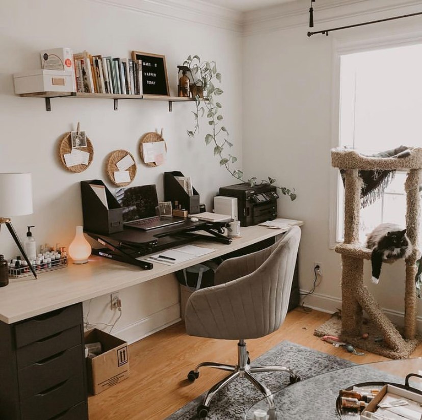 FlexiSpot Standing Desk Review