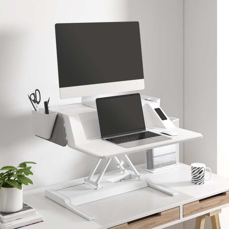 FlexiSpot Motorized Aesthetic Sit Stand Workstation EM6M Review