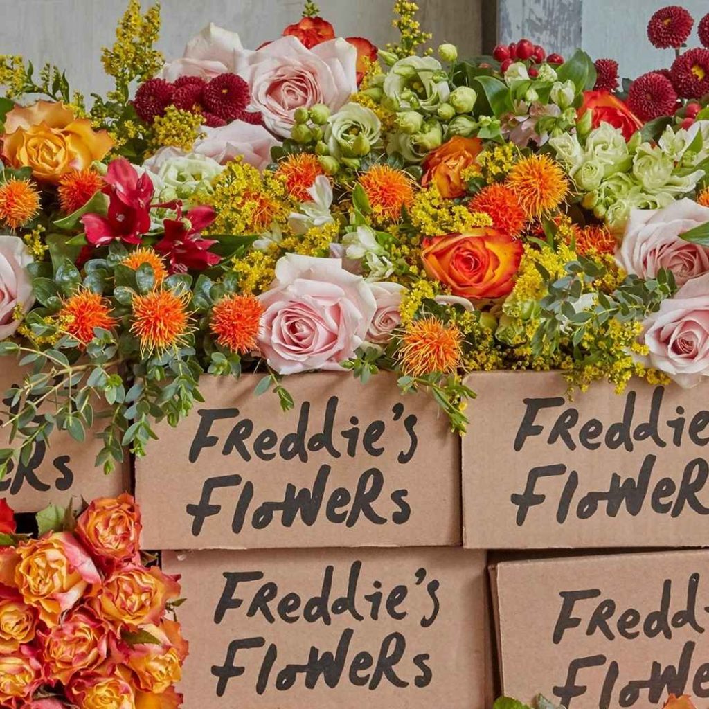 Freddie’s Flowers Review
