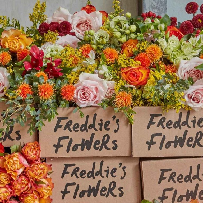 Freddies Flowers Review Must Read This Before Buying